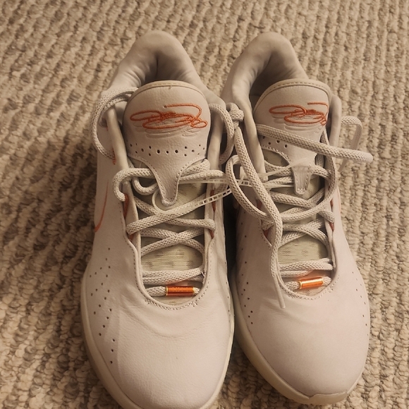 Nike LeBrons 21 Akoya Sneakers Size 10 main image 5